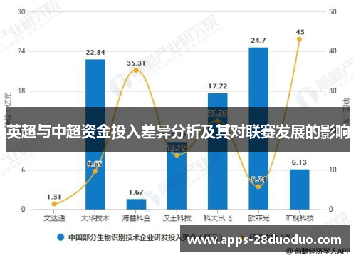 英超与中超资金投入差异分析及其对联赛发展的影响