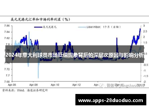 2024年意大利球员市场贬值现象背后的深层次原因与影响分析