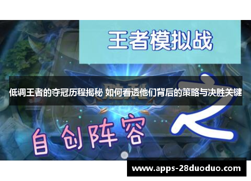 低调王者的夺冠历程揭秘 如何看透他们背后的策略与决胜关键