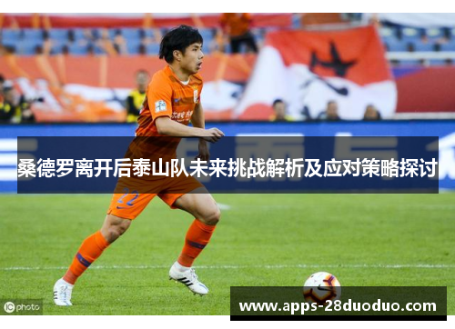 桑德罗离开后泰山队未来挑战解析及应对策略探讨