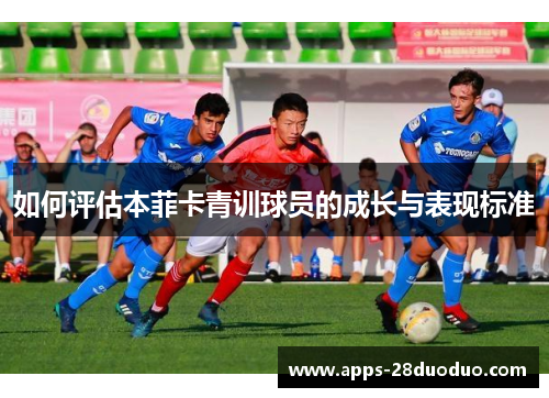 如何评估本菲卡青训球员的成长与表现标准