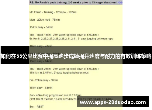 如何在55公里比赛中提高跑步成绩提升速度与耐力的有效训练策略