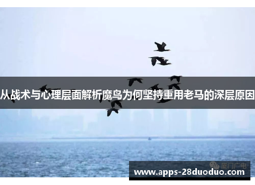 从战术与心理层面解析魔鸟为何坚持重用老马的深层原因